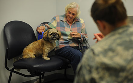 Small brown dog waits patiently on a chair in a veterinary clinic's waiting room with its owners